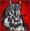 Benutzeravatar