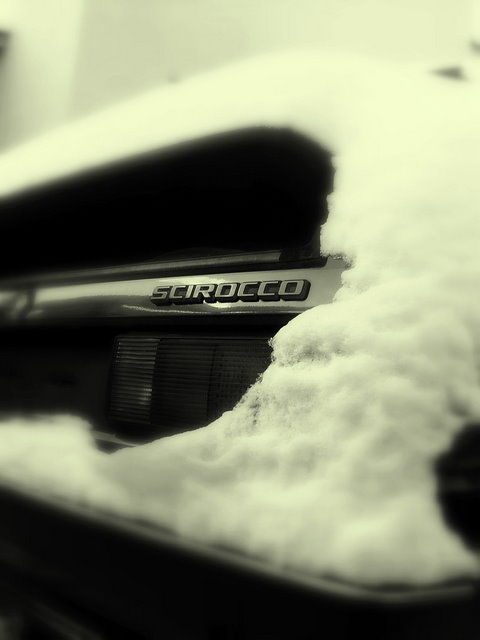 Winterschlaf.....jpg