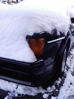 snow-1.jpg