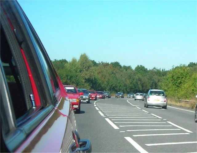 backshot1.jpg