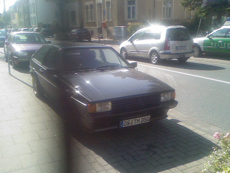 sik7.jpg