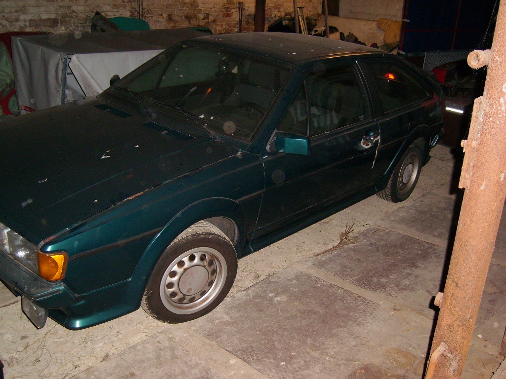 SL270147.JPG