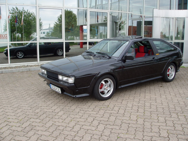 rocco3.jpg