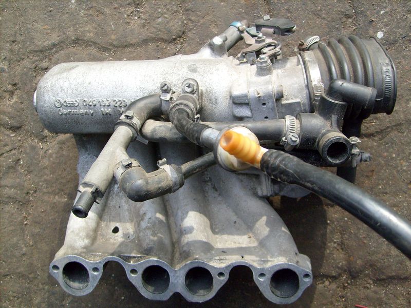 S7300203.JPG
