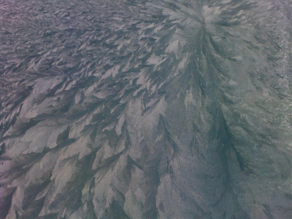 111DSC00037.jpg