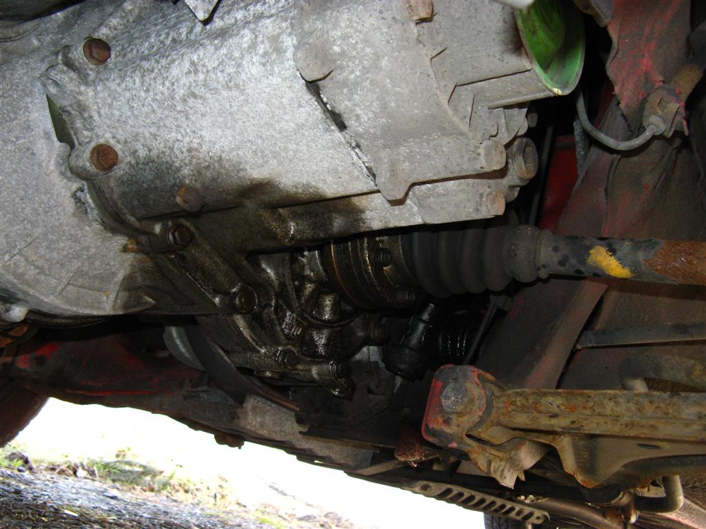 IMG_2454 (Large).jpg