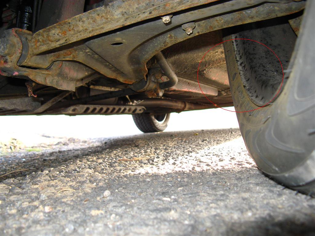 IMG_2450 (Large).JPG