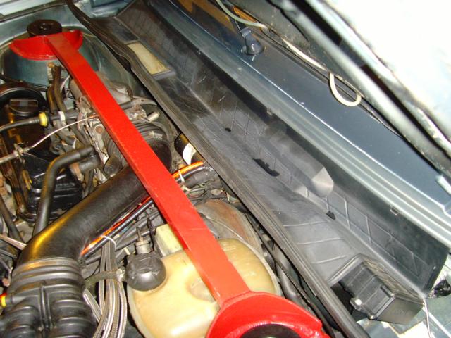 SNV31125.JPG