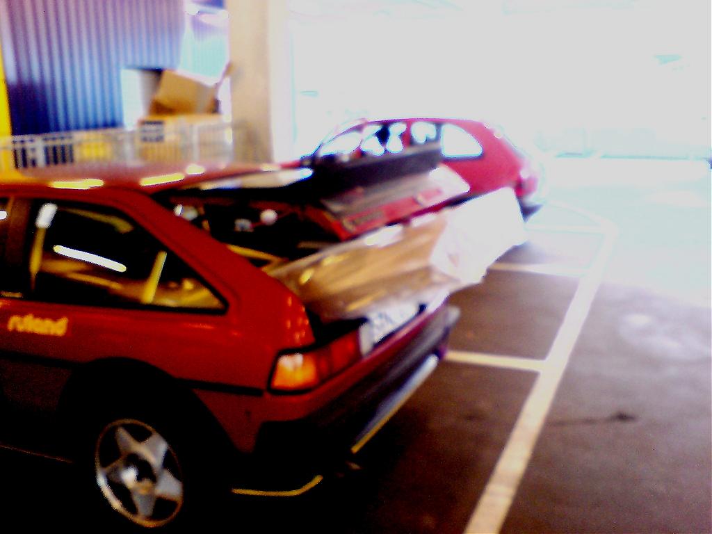 Rocco Lastenesel1.jpg