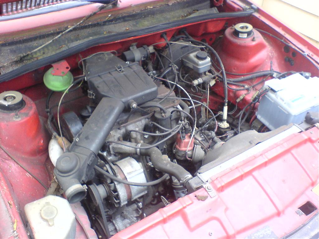 DSC01143.jpg