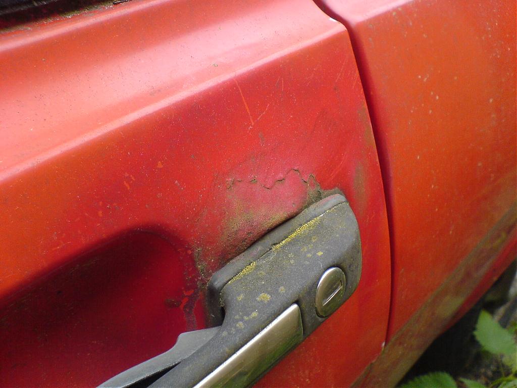 DSC01150.jpg