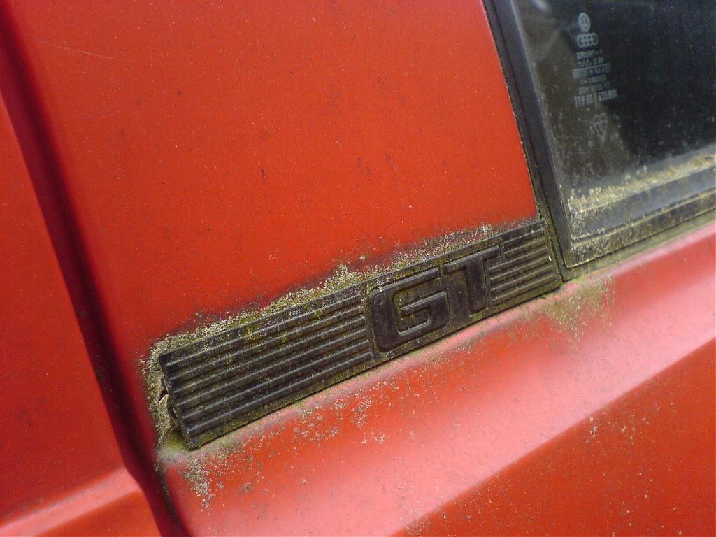 DSC01149.jpg