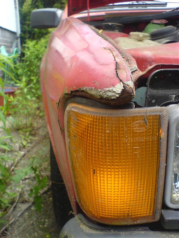 DSC01152.jpg