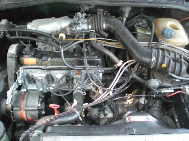 CIMG5968.JPG
