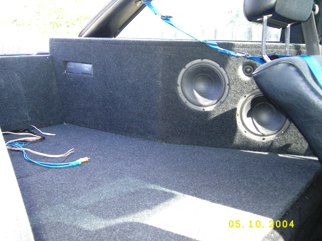Rocco neu 002.jpg