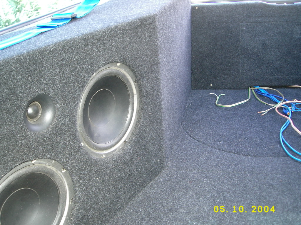Rocco neu 003.jpg