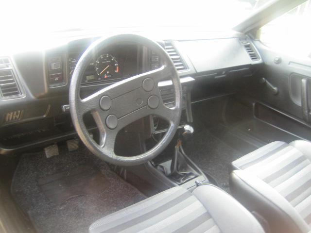 rocco 003.jpg