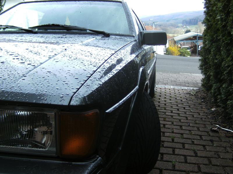 BILD0173 (Medium).JPG