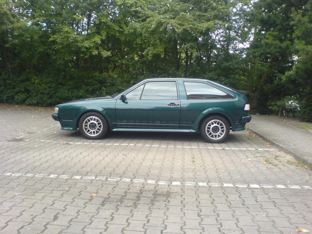 DSC00482.jpg