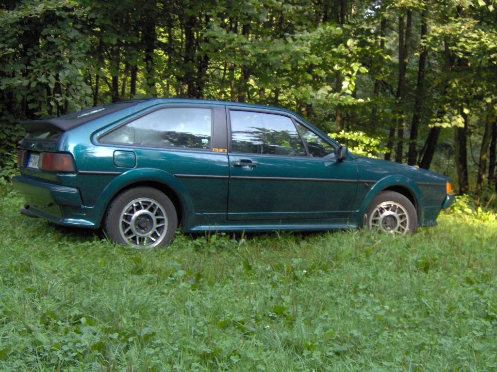 Früh Morgens im Wald (2).jpg