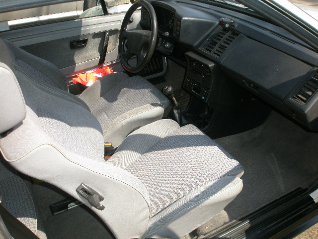 P4270564.JPG
