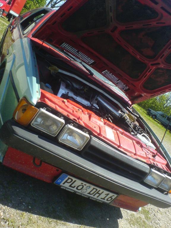DSC00260.jpg