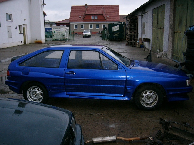 Steppan05.jpg