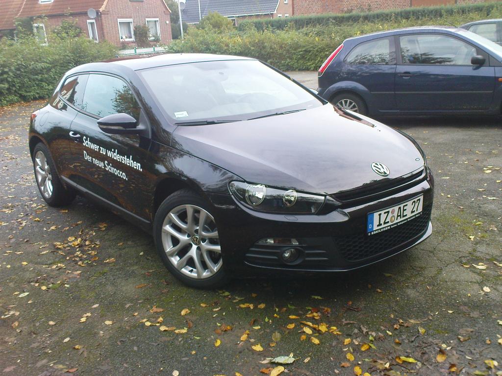 mein rocco 054.jpg