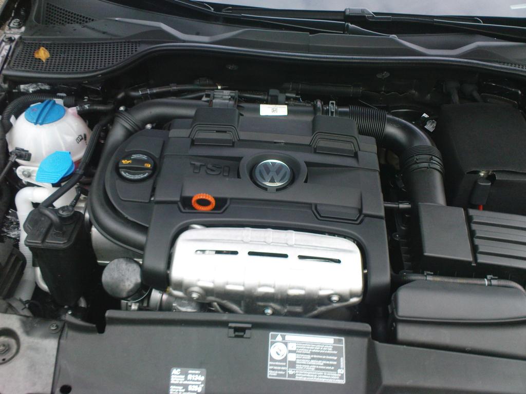 mein rocco 057.jpg