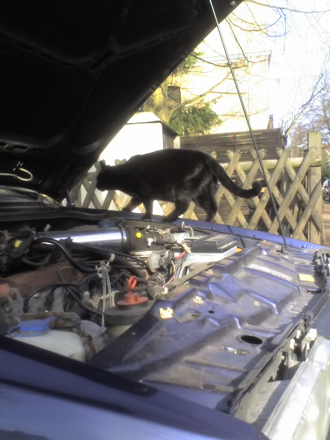 10-02-08_1147.jpg