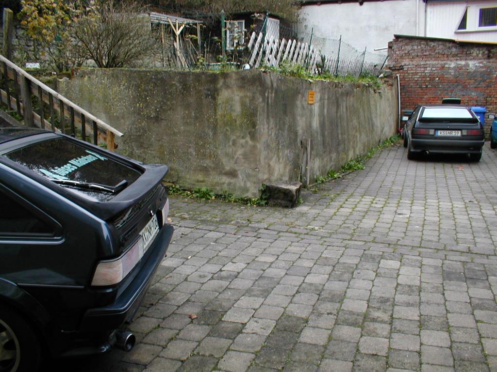 P1010105.jpg