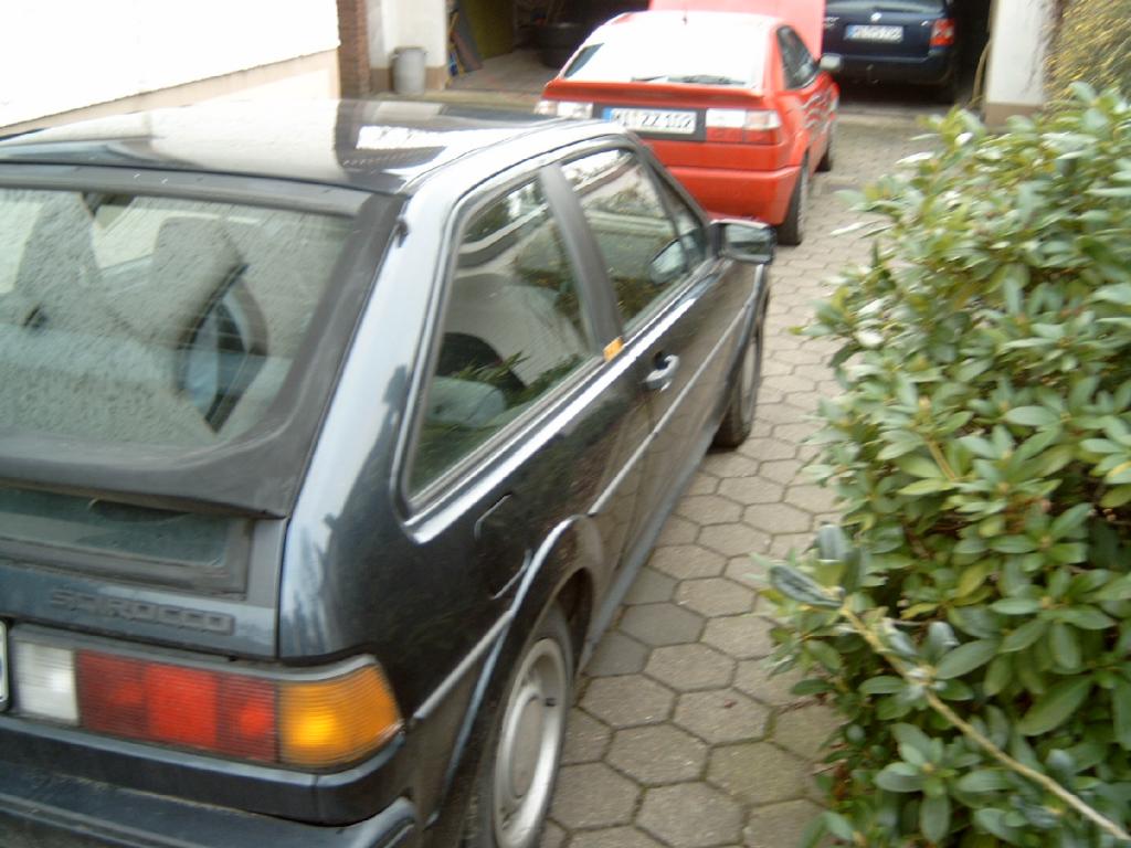 J4100004.jpg