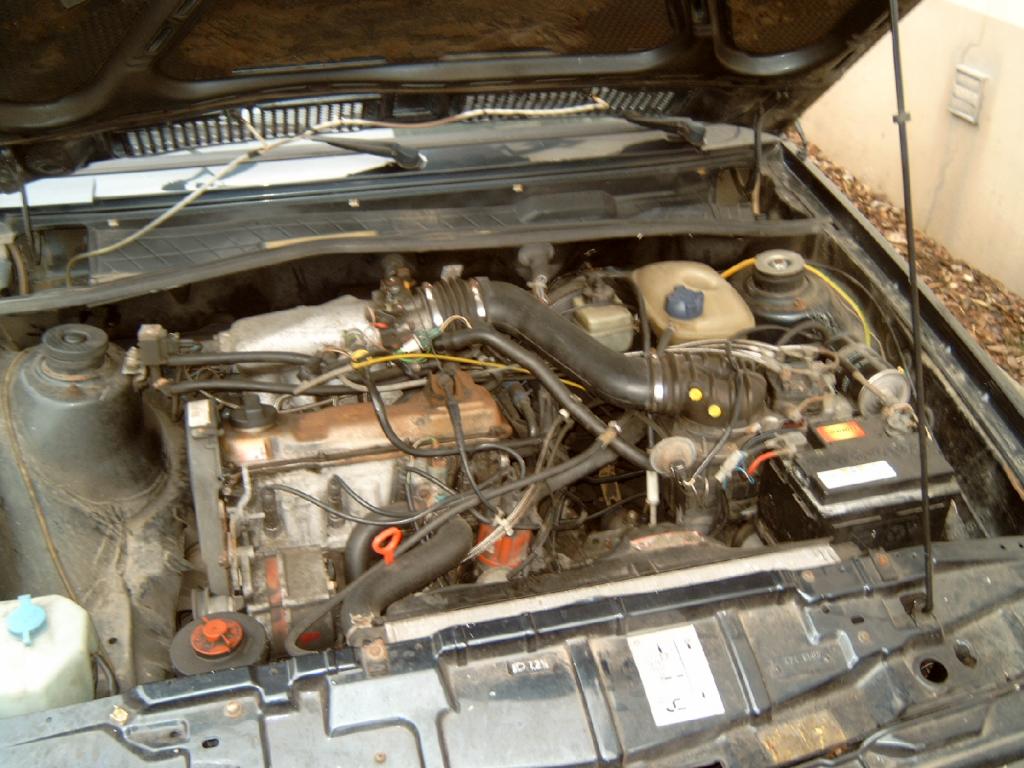 J4100015.jpg