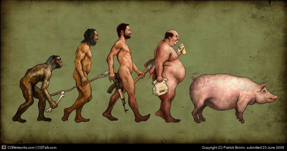 evoluce-2.jpg