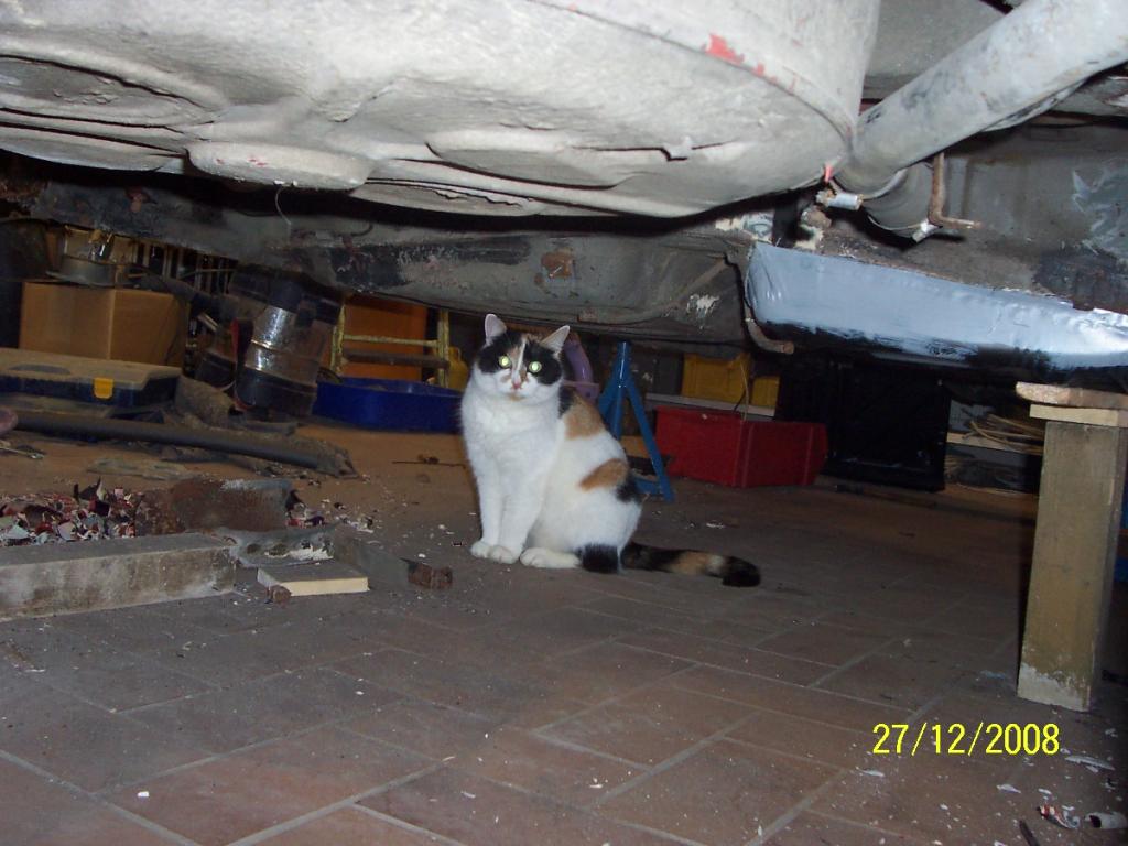 bis 04.01.2009 002.jpg