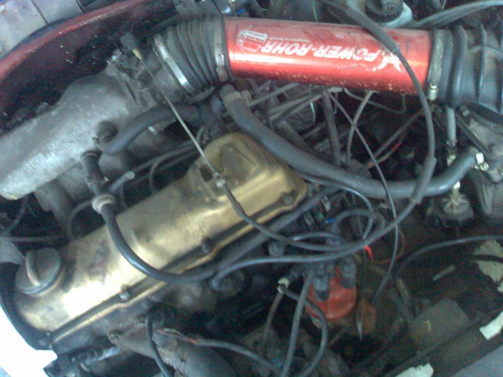 23032008162.jpg