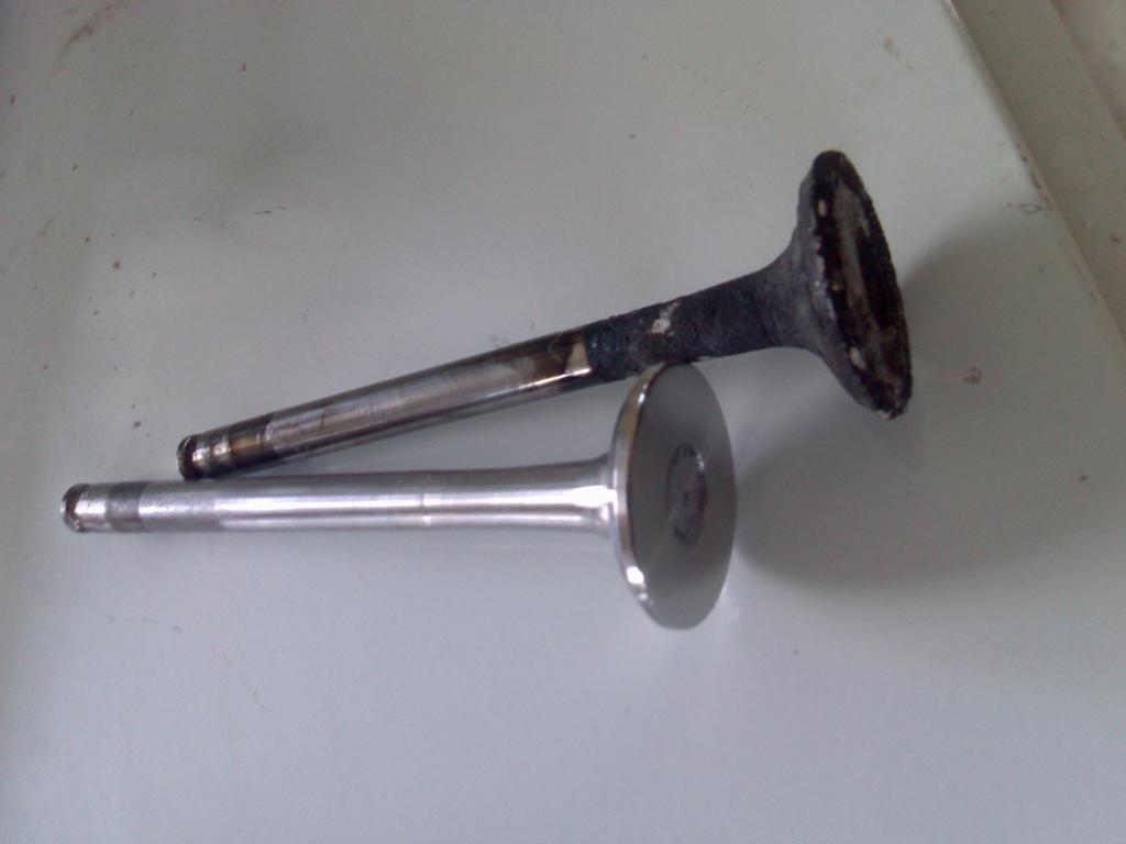 22032008146.jpg