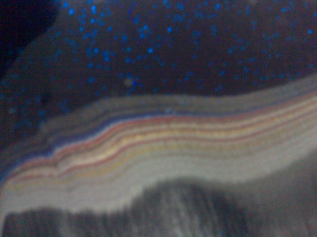 10042008182.jpg