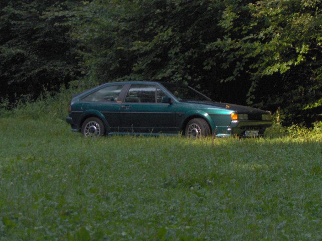 Komposition in Grün.jpg