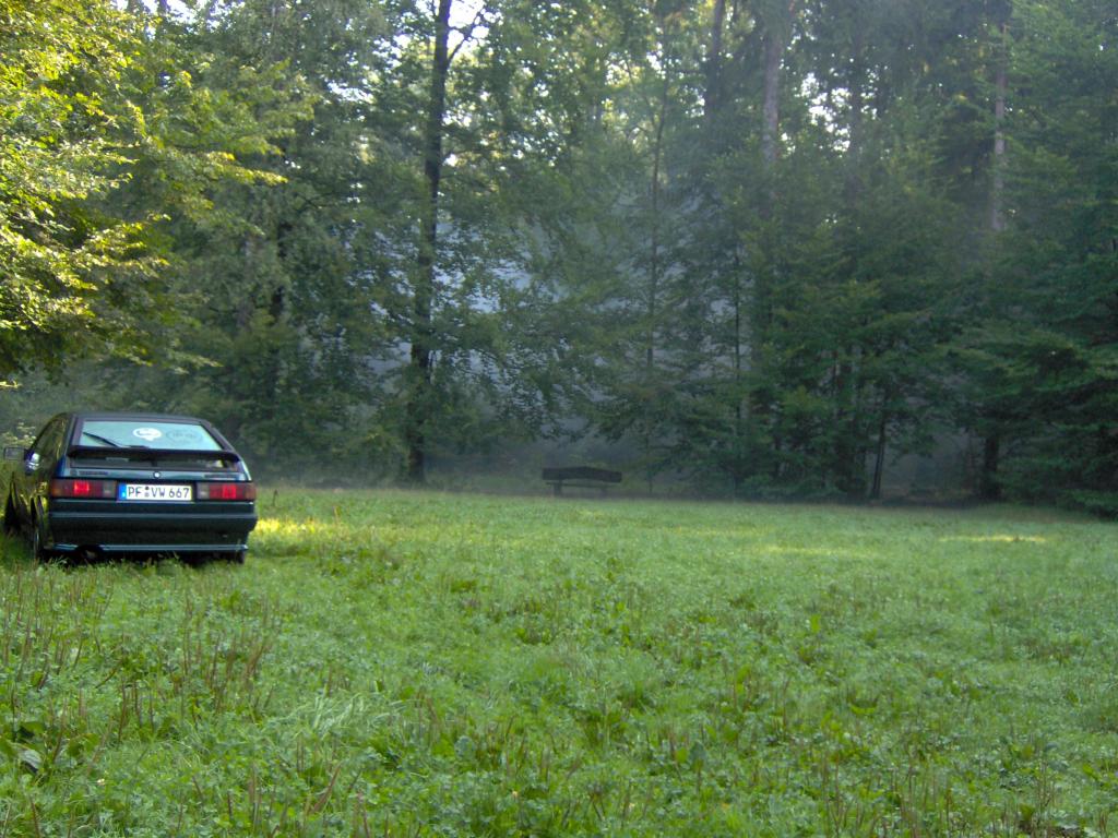Nebel des Grauens.jpg