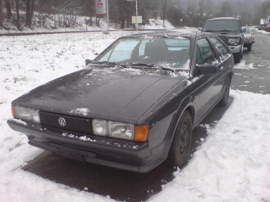 DSC00378.jpg
