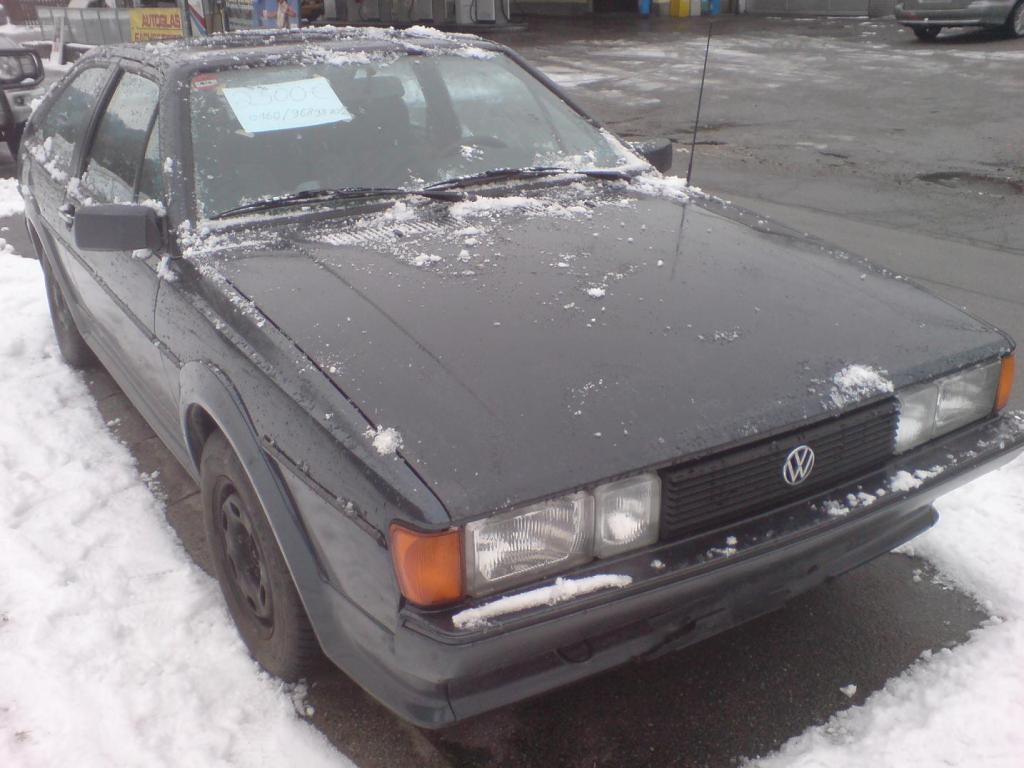 DSC00379.jpg