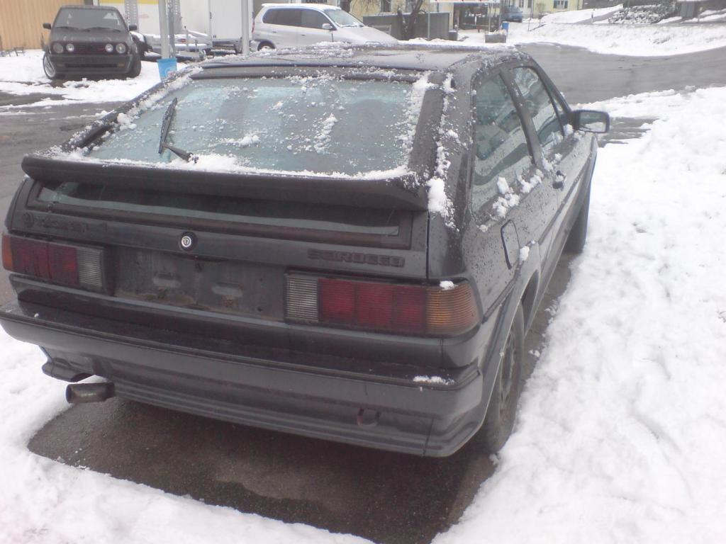 DSC00380.jpg