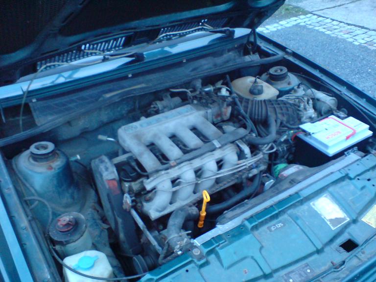 DSC00250.JPG