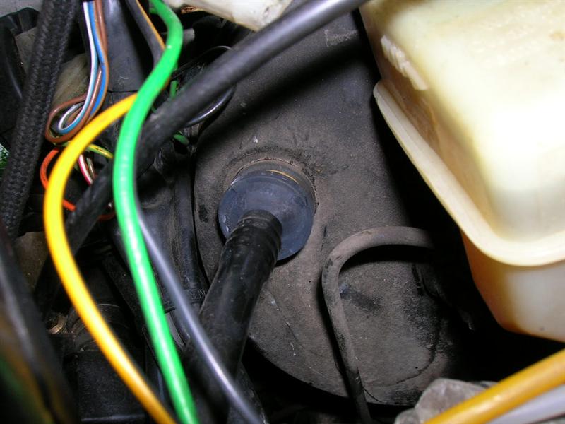 DSCN1889 (Medium).JPG