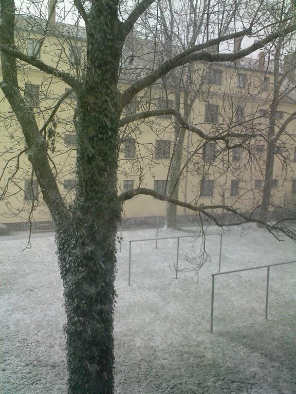 Büld-0031.jpg