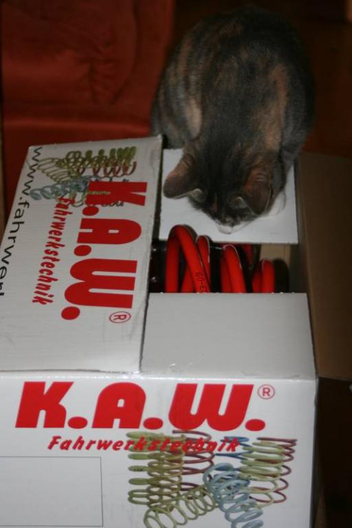 Peg Karton 1.jpg