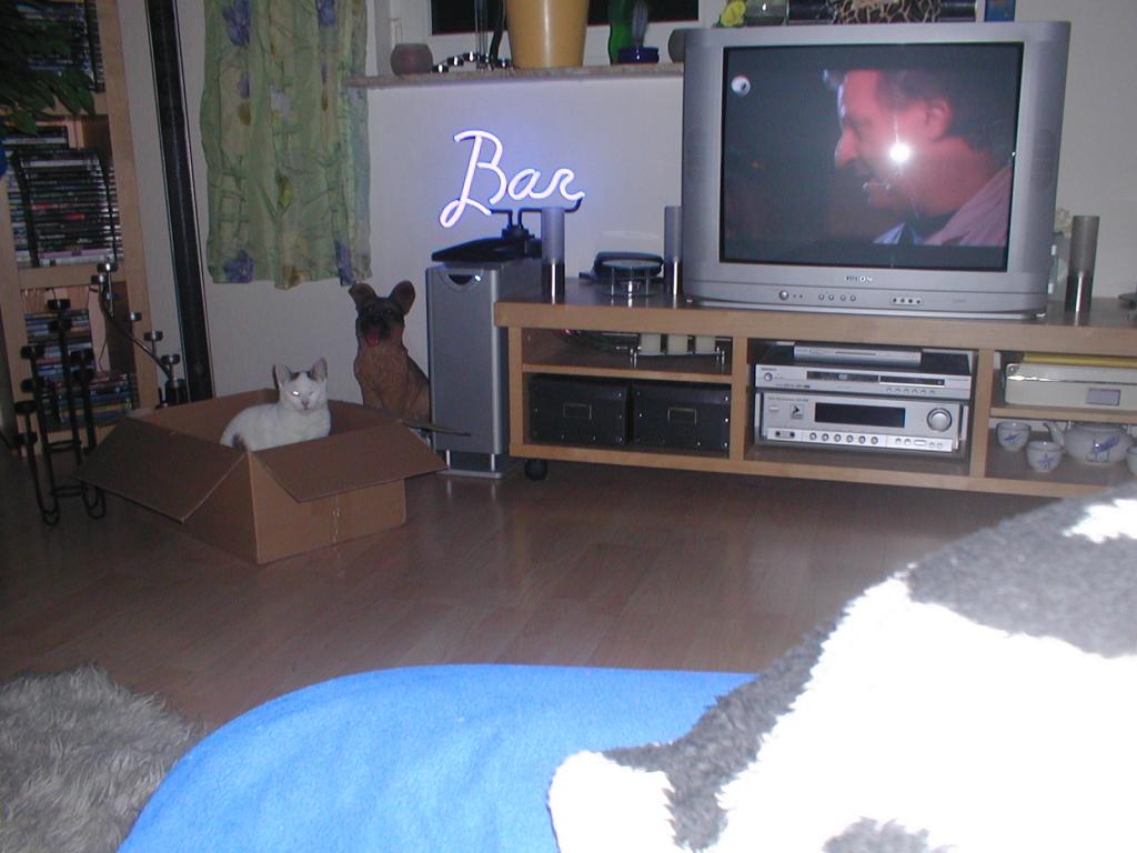 P1010046.jpg