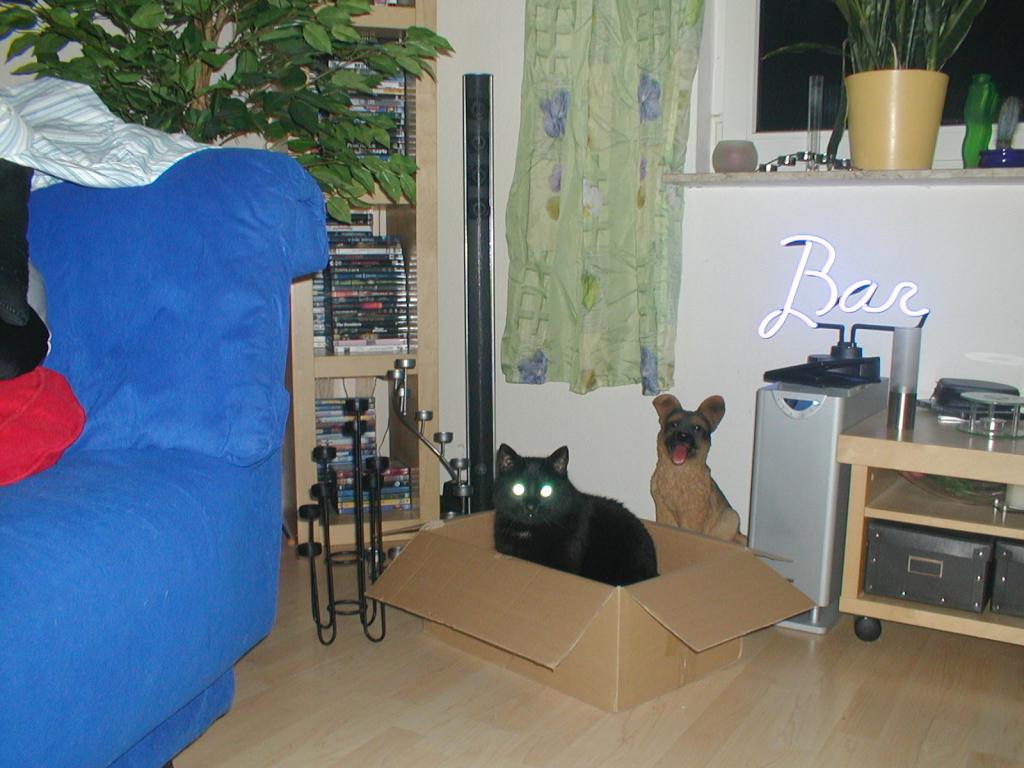 P1010047.jpg
