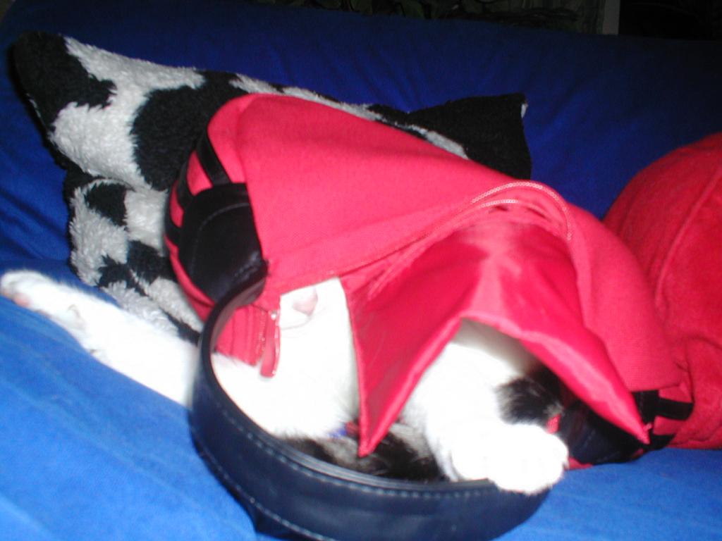 P1010043.jpg